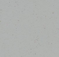 933582 Earl Grey Chocolate 